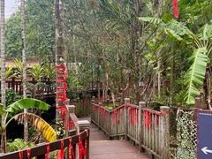 -七仙岭温泉国家森林公园