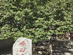 -青岛崂山太清宫