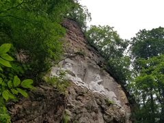 -天女山森林公园