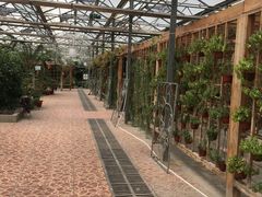 -万源龙顺度假庄园生态观光园