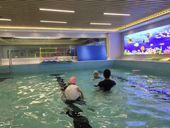 -水贝乐国际水育儿童游泳中心(新业广场店)