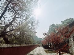 -红螺寺