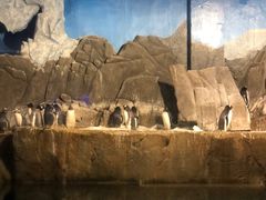 -成都浩海立方海洋公园