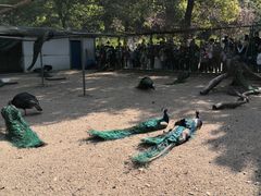 -苏州上方山国家森林公园