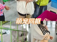-长春农业博览园