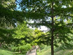 -香山公园
