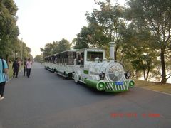 绿白色小火车-橘子洲景区