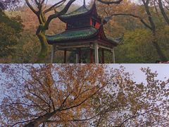 -岳麓山风景名胜区