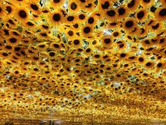 -上海梵高星空艺术馆(南京路旗舰店)