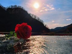 -崔记生活·铁锅炖鱼粘卷子(总店)