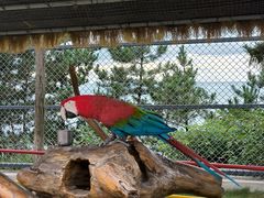 -西霞口神雕山野生动物世界