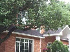 android_upload_pic-上海虹桥迎宾馆