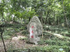 -上海佘山国家森林公园天马山园