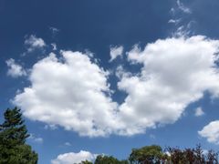 -上海虹桥迎宾馆