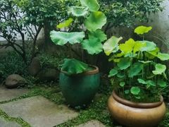 -院子餐厅·大锅菜·老杭帮(桥西直街店)