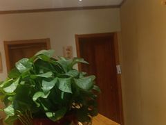 -鸽子窝(宋庄店)