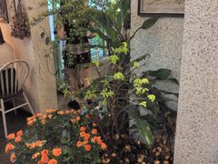 -绿房子方寸咖啡(星海名城店)