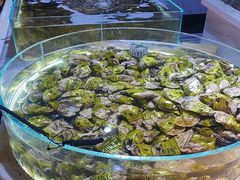 -聚盛源蒸汽海鲜火锅烤肉自助(巨川金海岸购物广场店)