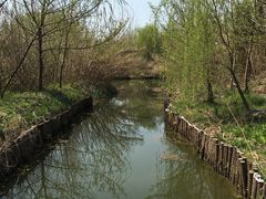 景点-溱湖国家湿地公园