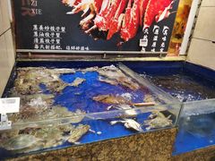 水产区-高佳庄·舟山海鲜(海景旗舰店)