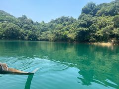 -鼎湖山风景区