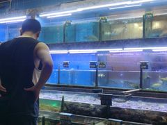 水产区-龙溪海鲜酒家(溪涌店)