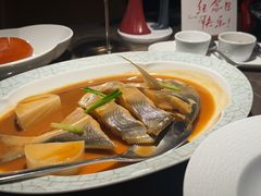 家烧鲳鱼-新荣记(BFC外滩金融中心店)