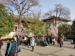 -西安青龙寺遗址景区