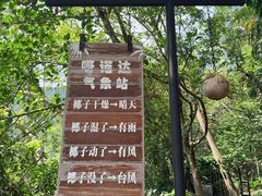 -呀诺达热带雨林