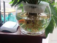 android_upload_pic-芭菲盛宴·环球美食(解放碑英利国际店)
