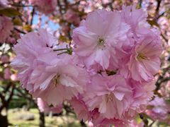 -苏州河梦清园环保主题公园