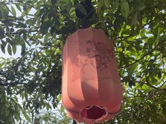 -唐猫庭院·千年陕菜(大唐不夜城店)