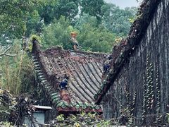 -深圳国际园林花卉博览园