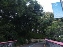 -飞凤山奥体公园