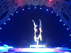 -珠海横琴长隆《卡卡虎奇遇记》