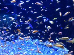 -成都浩海立方海洋公园