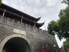 -孙奶奶葱包桧