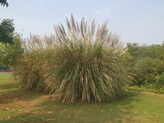 -盘龙城国家考古遗址公园