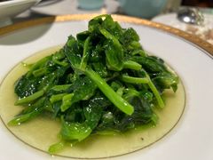 -蝶园·装修中(BFC外滩金融中心店)