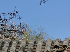-桃花堤公园