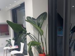-喜多萌中农锦绣动物医院24H·猫科·牙科MRI·CT