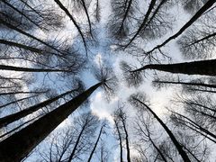 -山王坪喀斯特国家生态公园