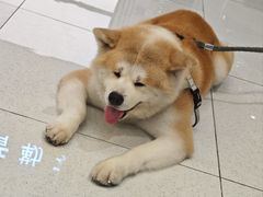 -万绿园