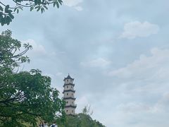 -江心屿景区