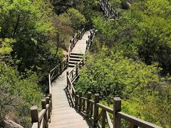 -大岭沟猕猴桃谷风景区