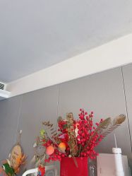 -哈颜科技轻美·