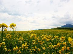 -扁都口生态休闲旅游区