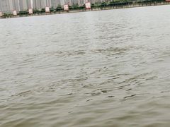 -渭滨公园