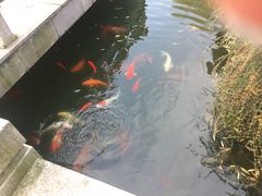 -张家港凤凰山景区河阳山歌馆