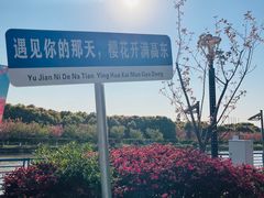-高东镇樱花园